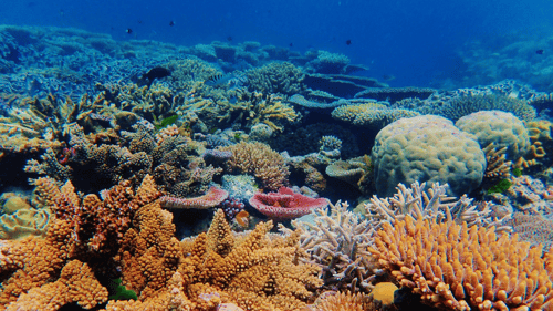 Great Barrier Reef