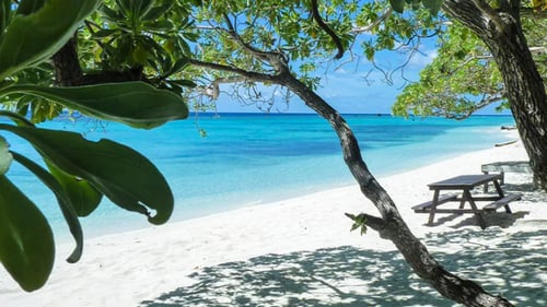Conflict Islands